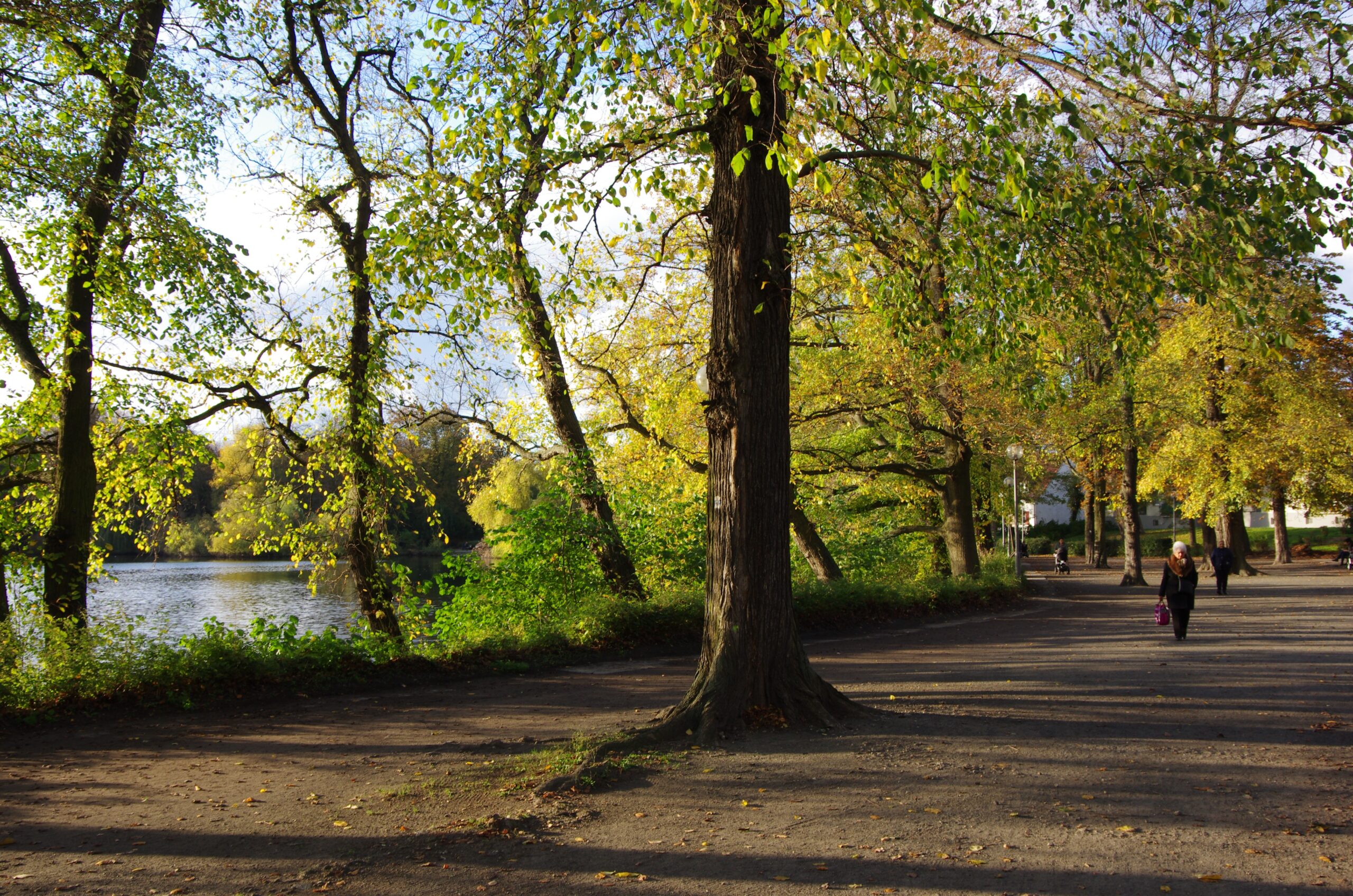 Kultur Reinickendorf - Am Schäfersee Foto Christiane Borgelt