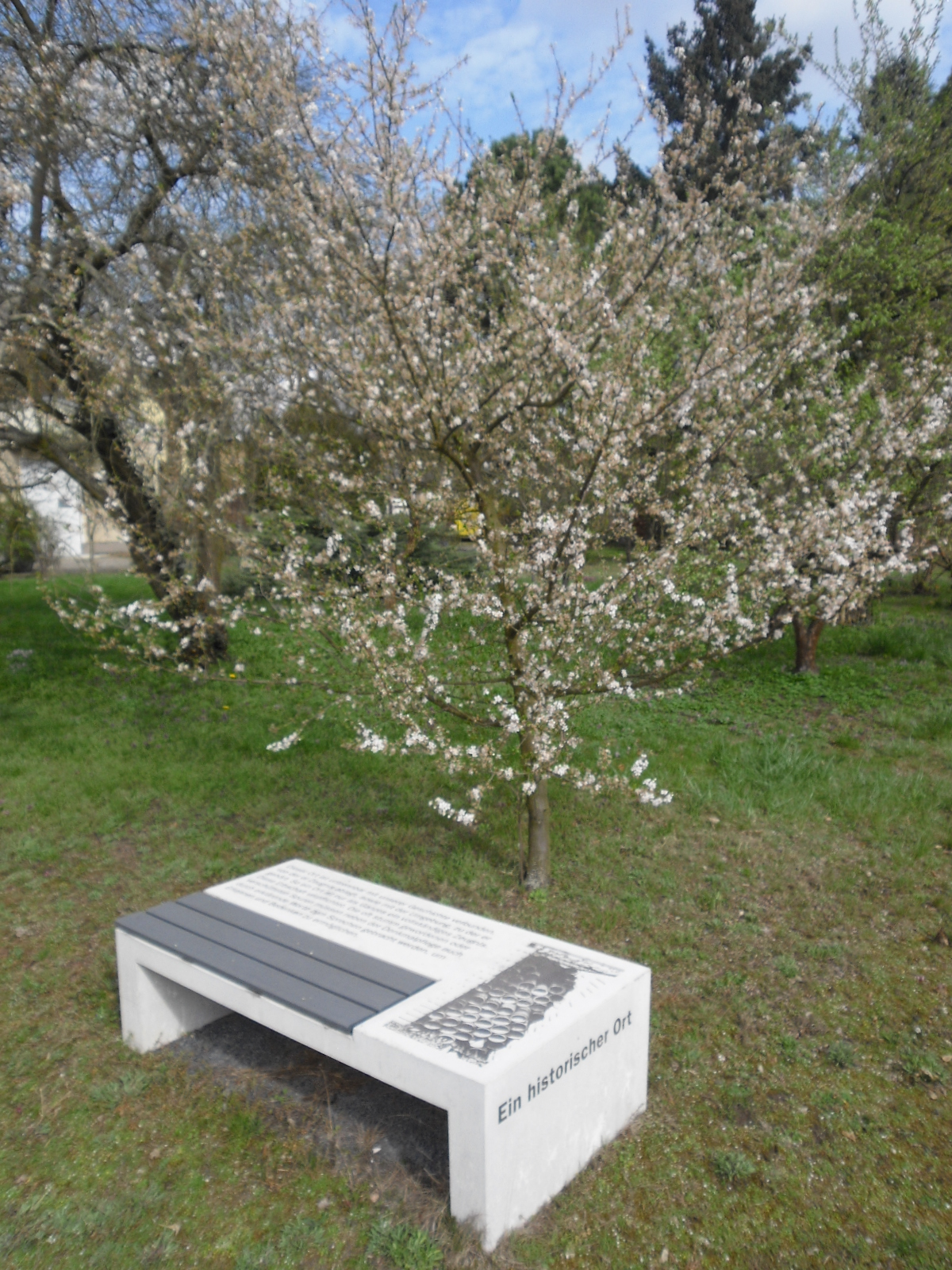 Kultur Reinickendorf - Historischer Ort Krumpuhler Weg, Gedenkbank © Museum Reinickendorf