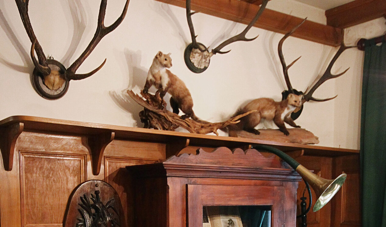 Kultur Reinickendorf - Försterstube Foto Stefanie Zwiesler © Museum Reinickendorf