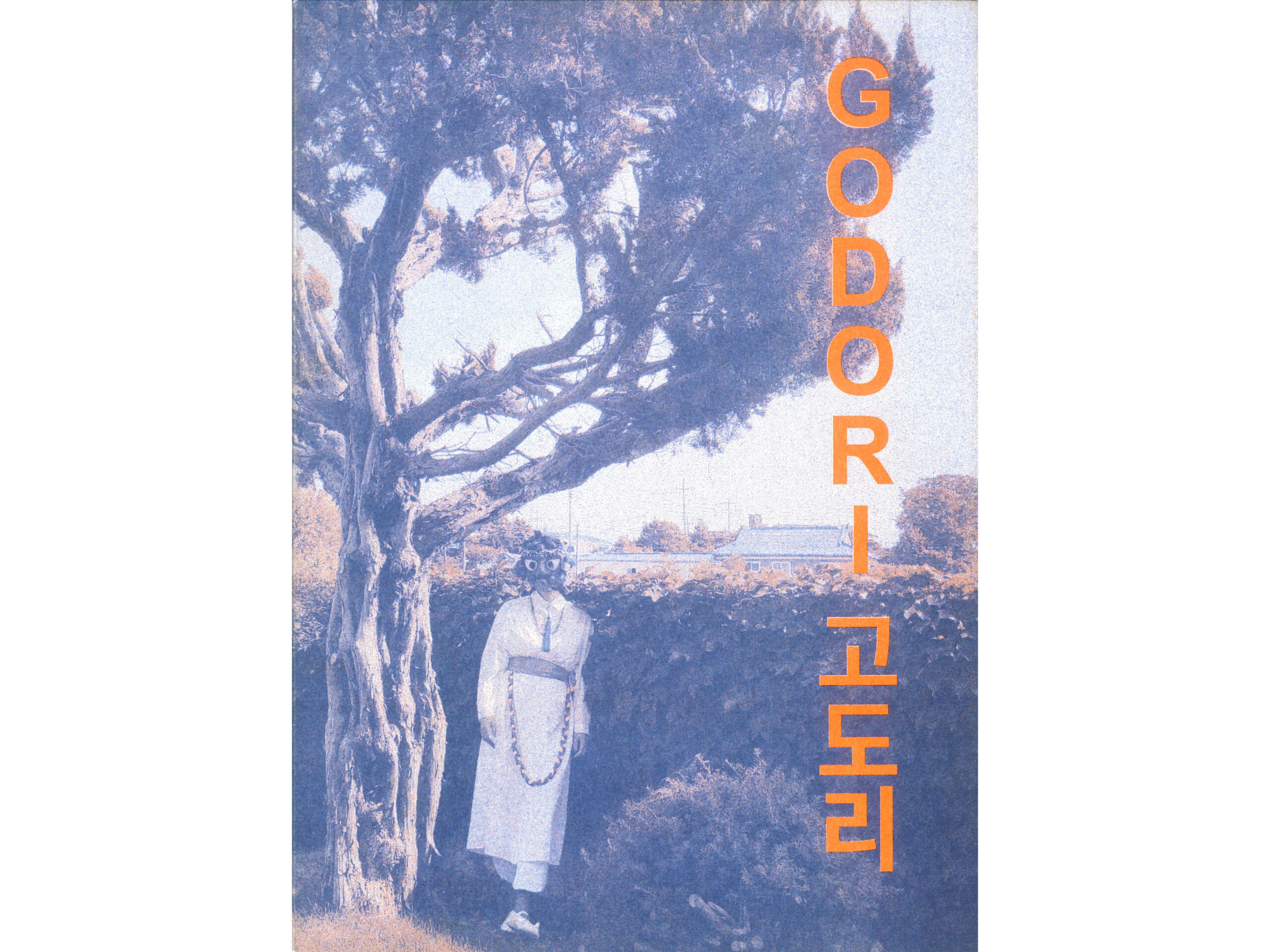 Kultur Reinickendorf - Godori-fotor-20241122154439